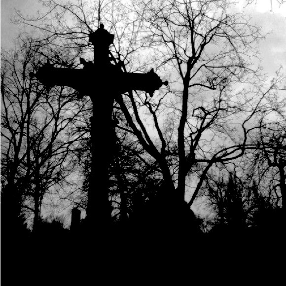 Vampxyz - Picture 5 of 14